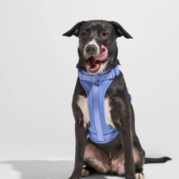 (Wild One) NWT Dog Harness in Moonstone, size Small - Picture 3 of 7